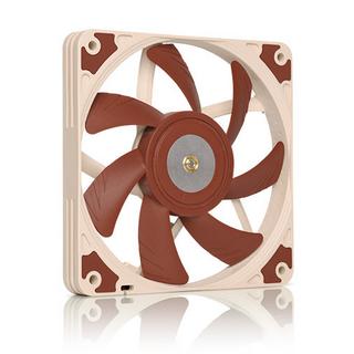 Noctua  Noctua 