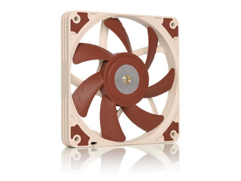 Noctua  Noctua 