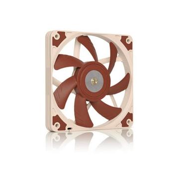 Noctua