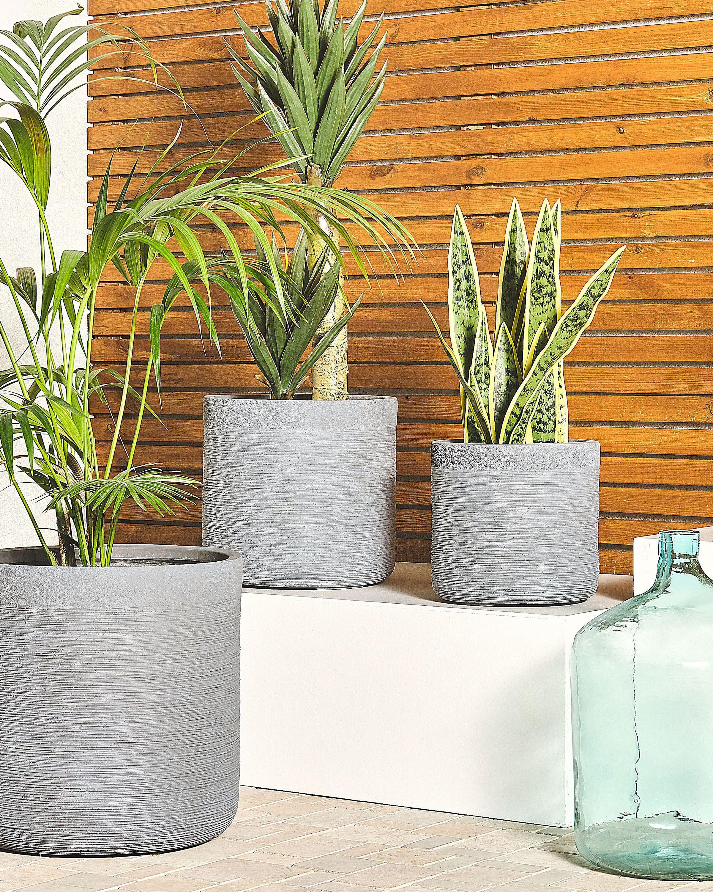 Beliani Cache-pot en Fibre d'argile Traditionnel SAMOS  