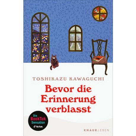 Bevor die Erinnerung verblasst Kawaguchi, Toshikazu; Pflüger, Friedrich (Übersetzung) Livre de poche 