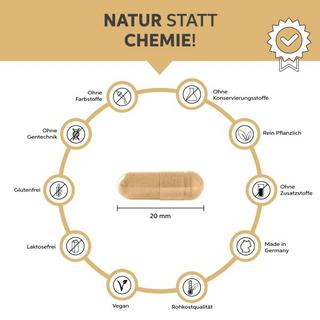 Eltabia  Gélules d'enveloppes de psyllium bio 