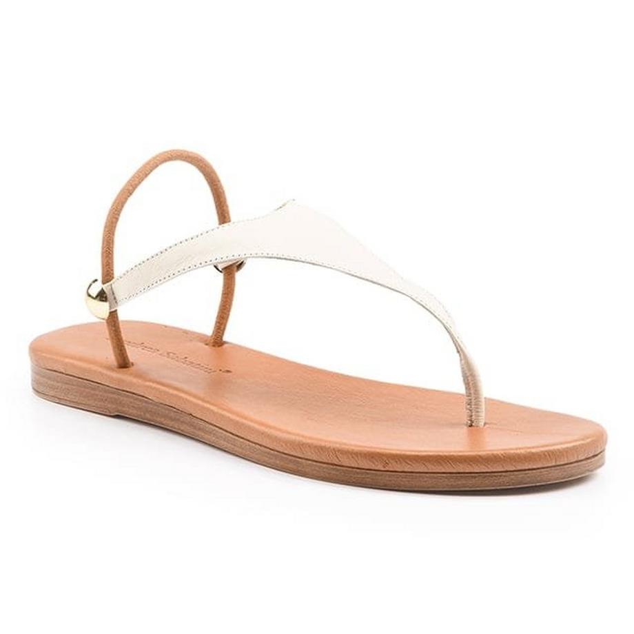 Lila-36