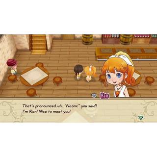 Marvelous  Story of Seasons: Friends of Mineral Town 