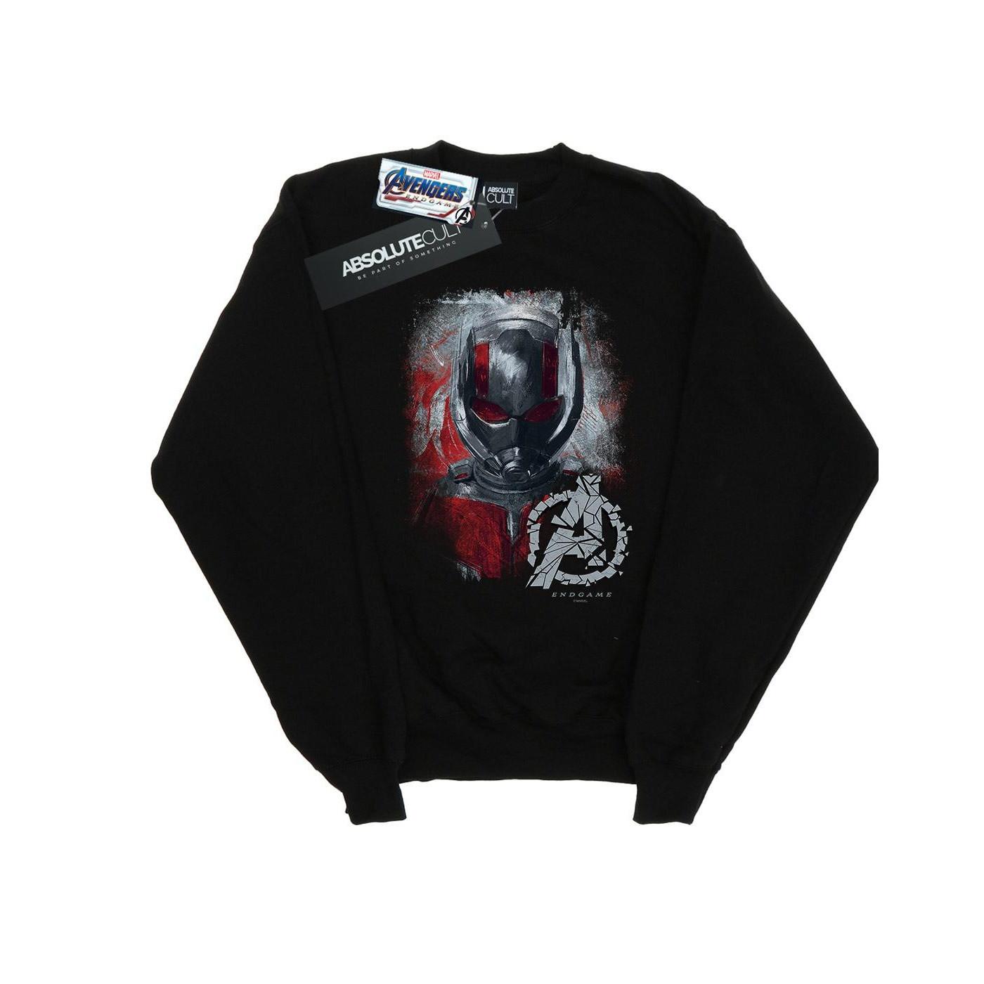 Image of Avengers Endgame Antman Brushed Sweatshirt Mädchen Schwarz 140/146