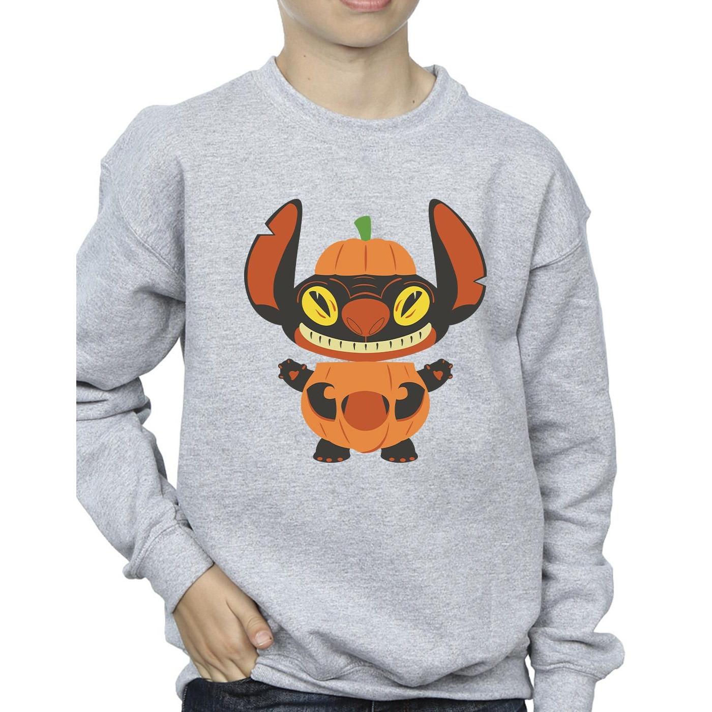 Disney  Sweatshirt 