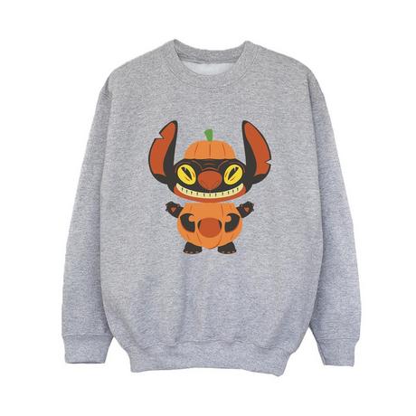 Disney  Sweatshirt 