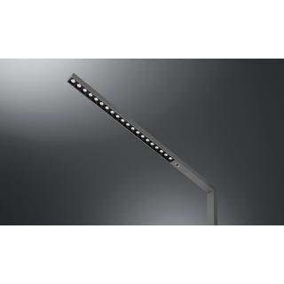 Hansa Floor Lamp LED Topas, anthracite  