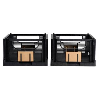 SCHOU Aufbewahrungsbox DELUXE faltbar, recycled Plastic, L 2er Pack  