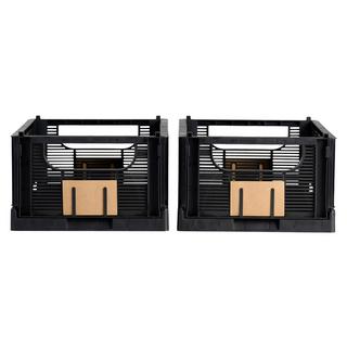 SCHOU Aufbewahrungsbox DELUXE faltbar, recycled Plastic, L 2er Pack  