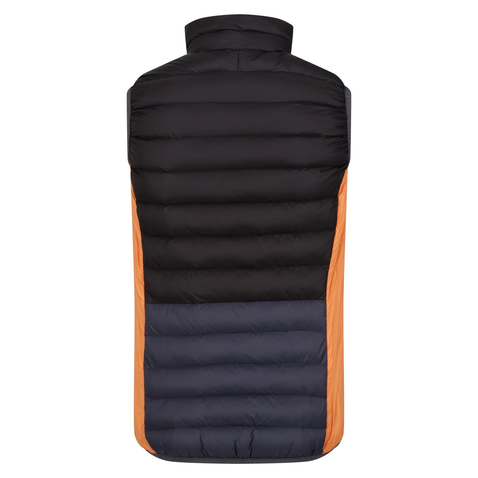 Regatta Harrock II Gilet Trapuntato  