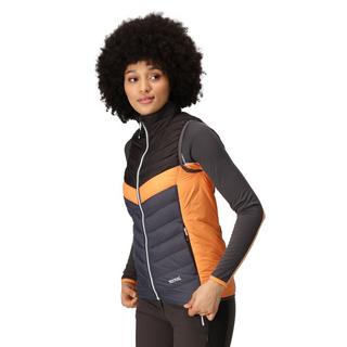 Regatta Harrock II Gilet Trapuntato  