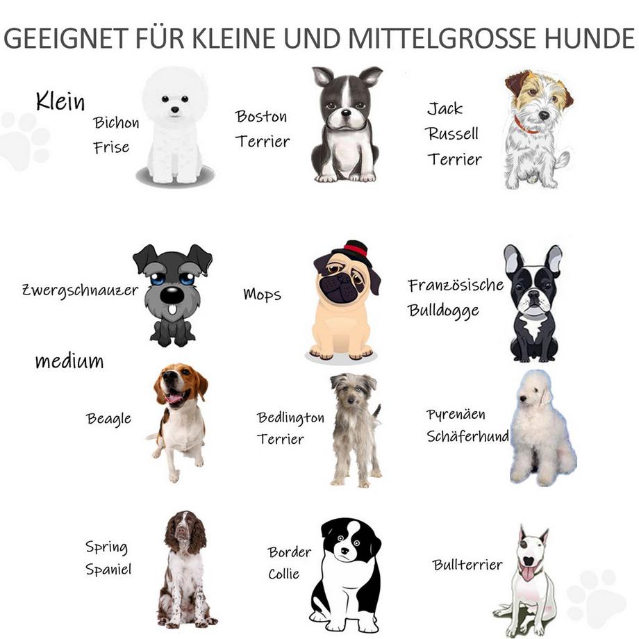 Northio  Türschutzgitter Absperrgitter Für Hunde Schutzgitter Hundegitter Sicherheitstür Bidirektionales Falten Kiefernholz Metall Schwarz 432X36X70Cm 