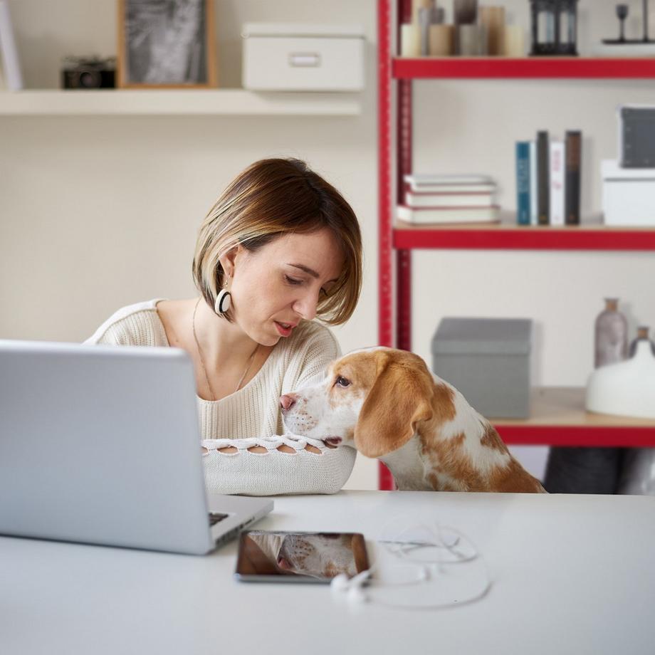 B2X Étagère de rangement rouge  