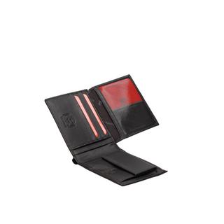 pierre cardin Geldbörse und Gürtel Set  