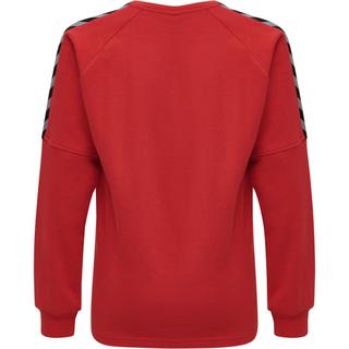 Hummel  pullover kind hmlauthentic training 