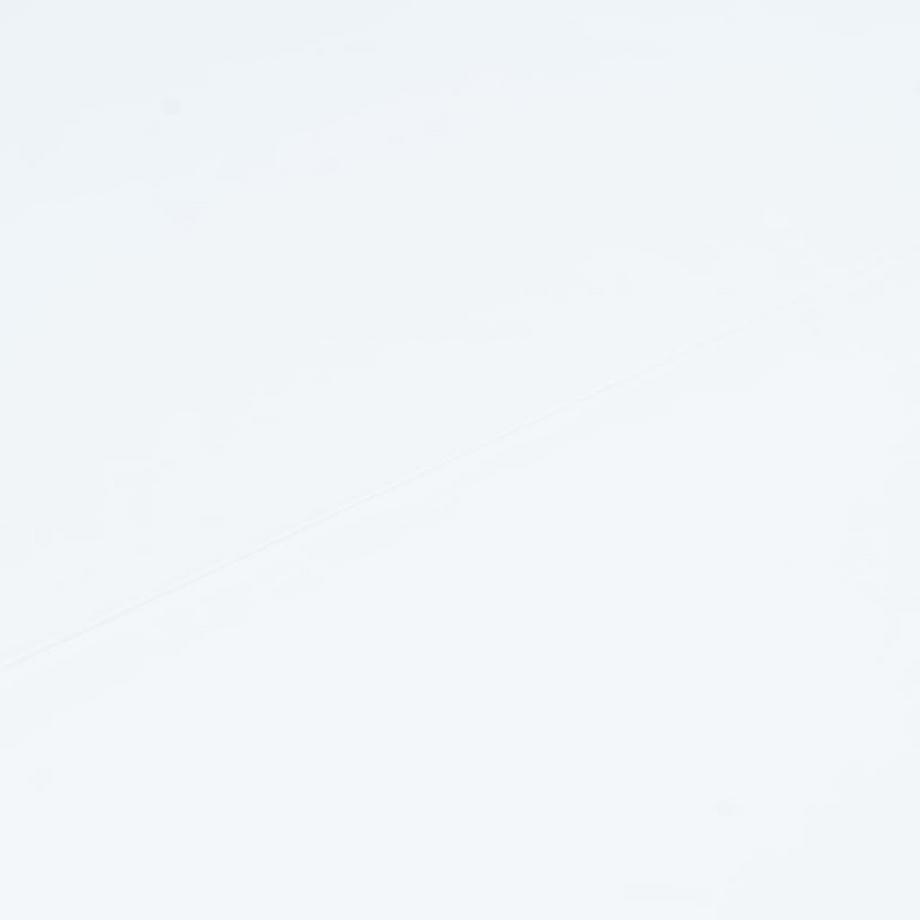 VidaXL Esstisch holz  