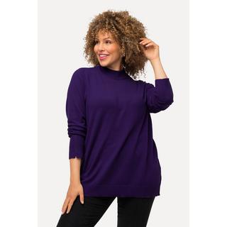 Ulla Popken  Pullover, Stehkragen, Langarm, Rippbündchen 