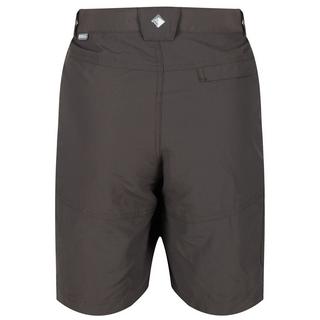 Regatta  Leesville II Shorts  Wandern 