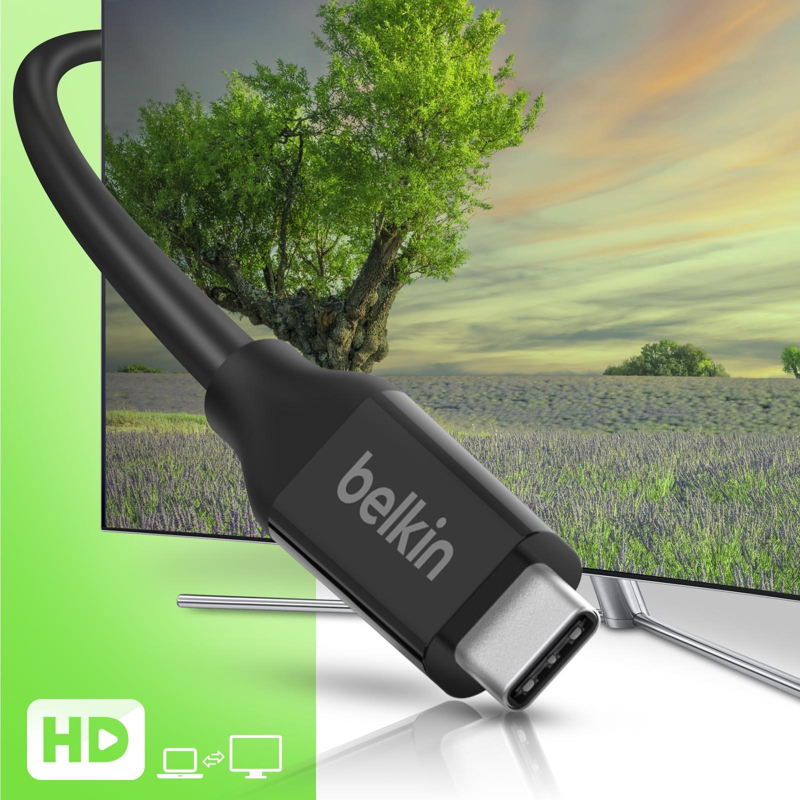 belkin  Belkin 100W USB-C Kabel Schwarz 0.8m 