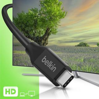 belkin  Belkin 100W USB-C Kabel Schwarz 0.8m 