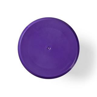 Nedis Filtre à cassette | Remplacement pour : Dyson | V10, SV12 | Filtre à moteur  