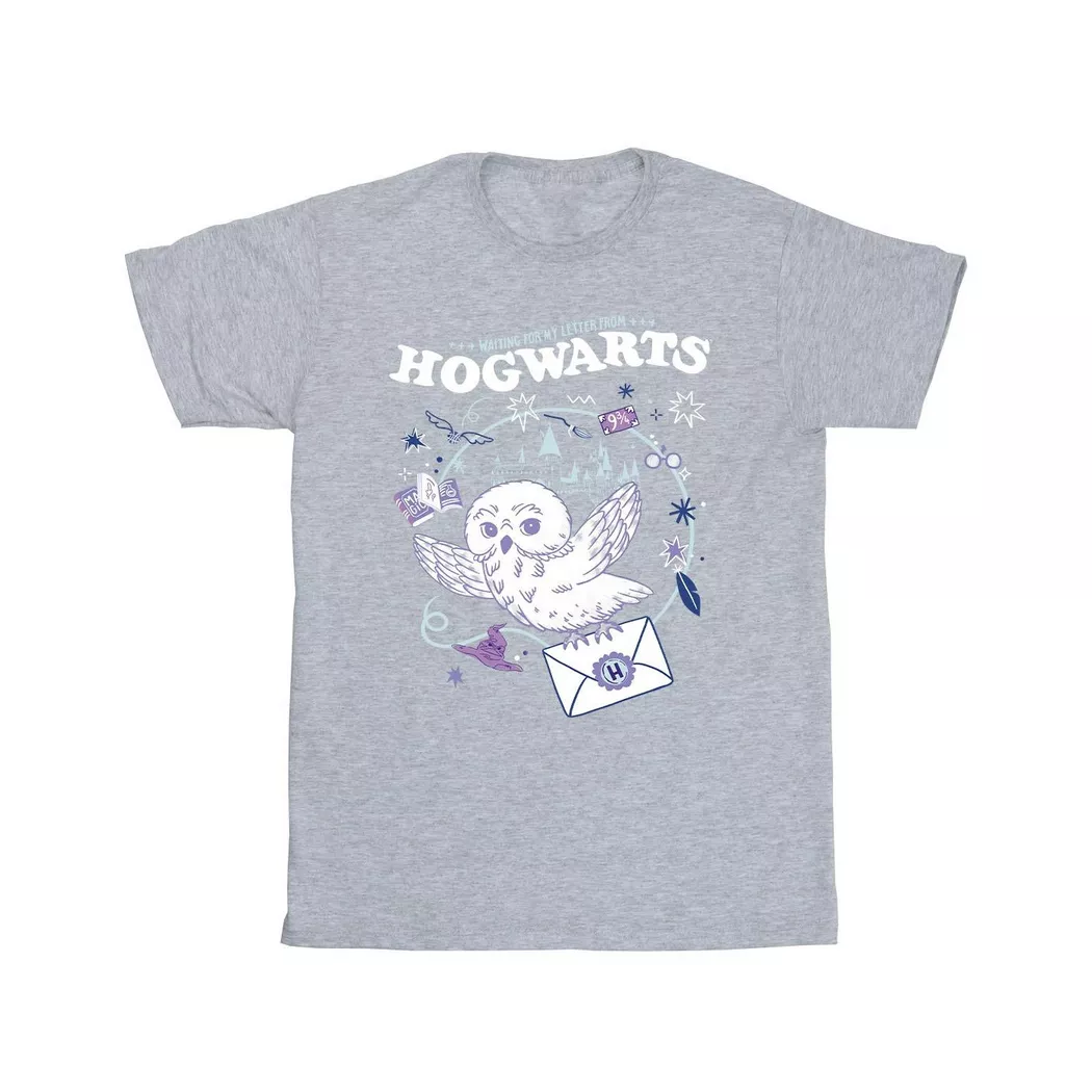 HARRY-POTTER - Letter From Hogwarts TShirt, für Herren, Grau, Größe XL