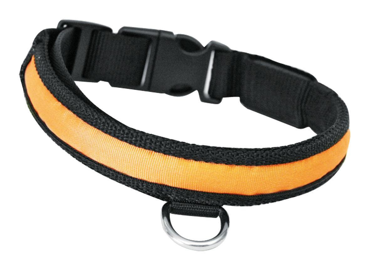 SwissPet  Collier lumineux nylon pour chien 