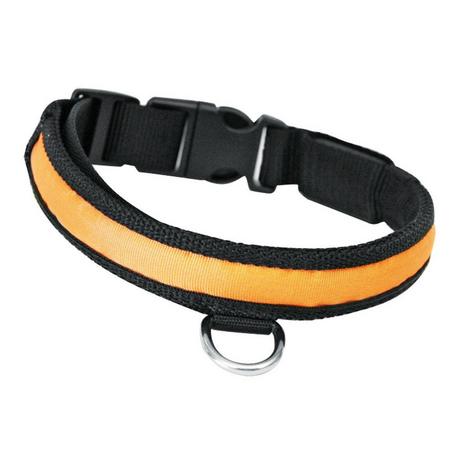 SwissPet  Collier lumineux nylon pour chien 