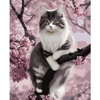 Maaleo Malen nach Zahlen 40x50cm - Maaleo Kätzchen 22783  