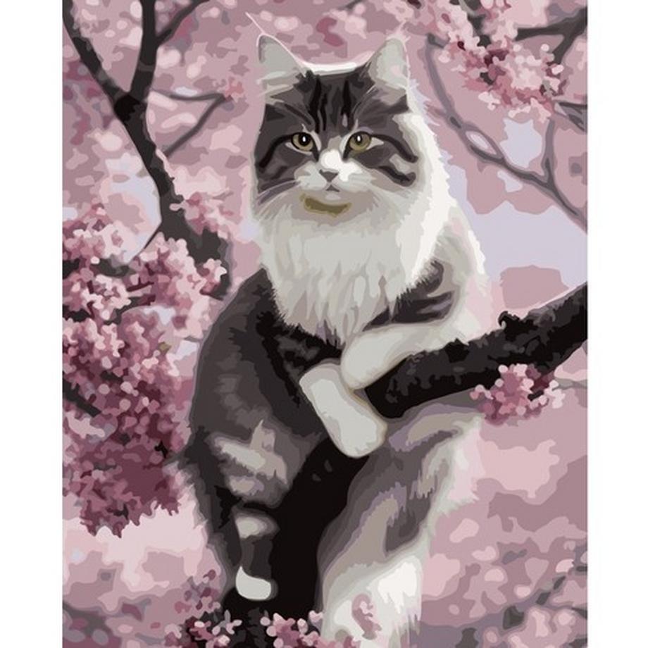 Maaleo Malen nach Zahlen 40x50cm - Maaleo Kätzchen 22783  