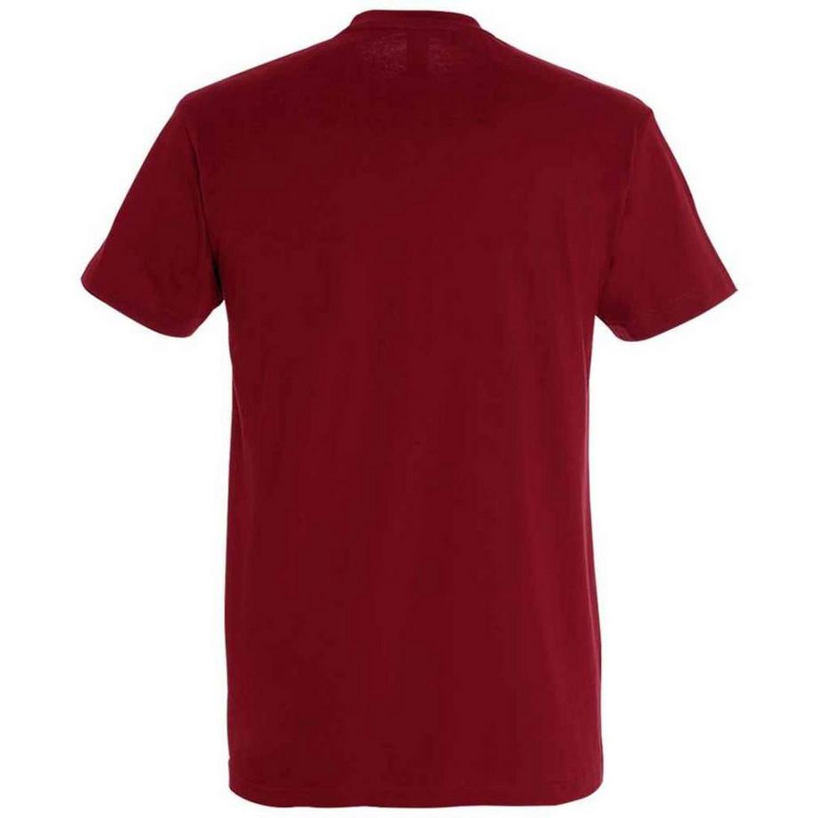 SOLS Imperial T-Shirt Schwere Qualität  