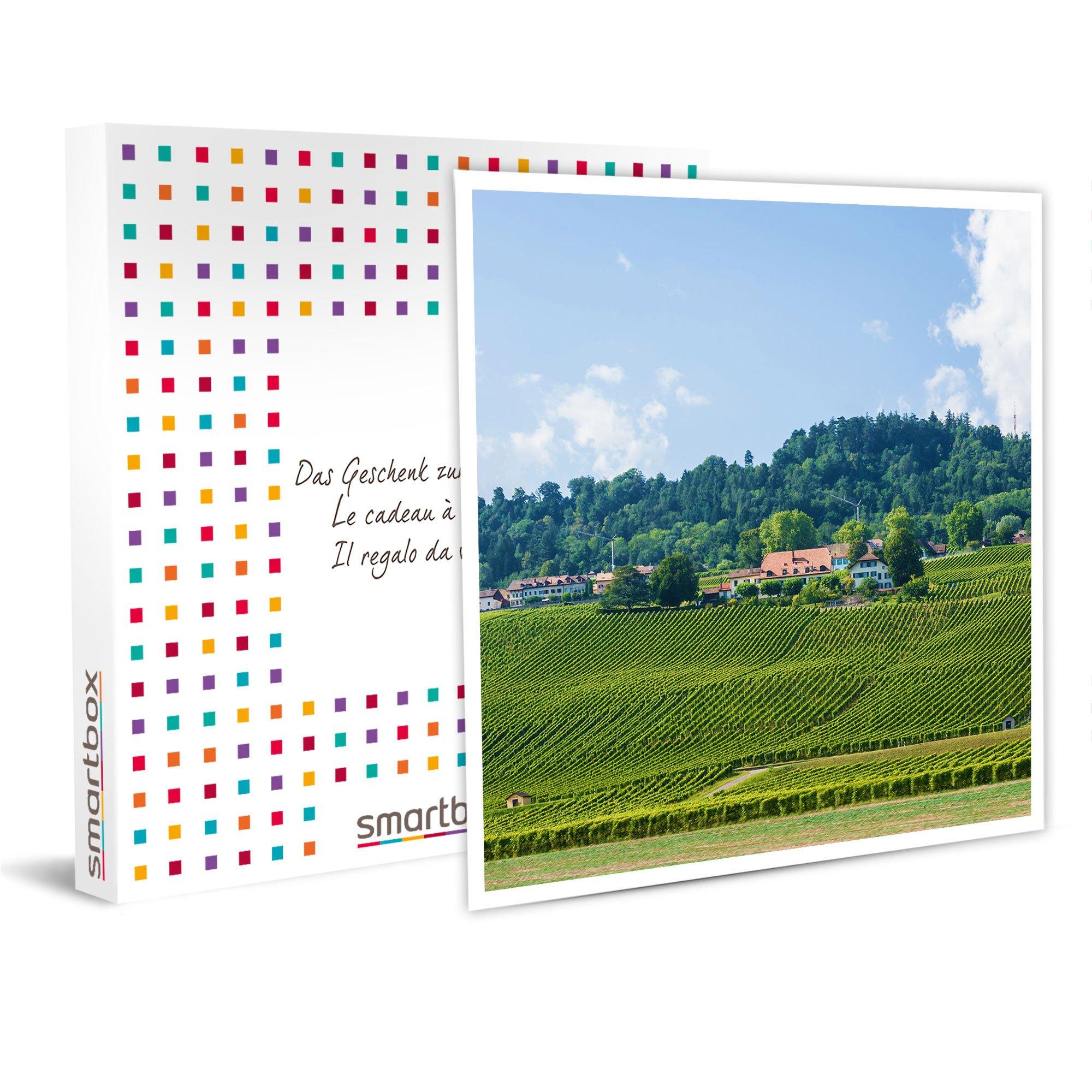 Image of 2-tägiger Aufenthalt Mit Abendessen, Mittagessen Und Eselritt In Der Nähe Von Yverdon-les Bains - Geschenkbox Unisex