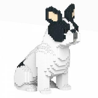 Jekca Limited  French Bulldog 