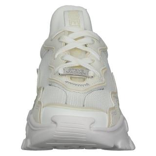 STEVE MADDEN  Sneaker 