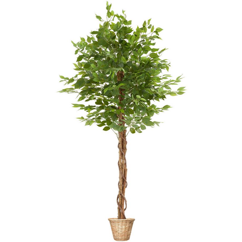 Tectake Künstlicher Ficusbaum Fida verschiedene Größen detailliert und naturgetreu  
