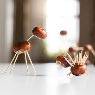 B2X  Cure-dents en bois, lot de 8000 