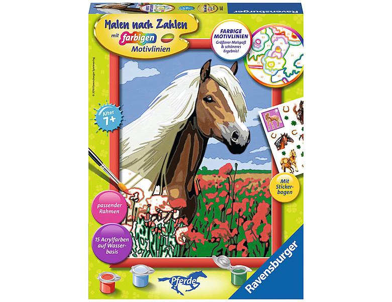 Image of Malen nach Zahlen Haflinger Multicolor