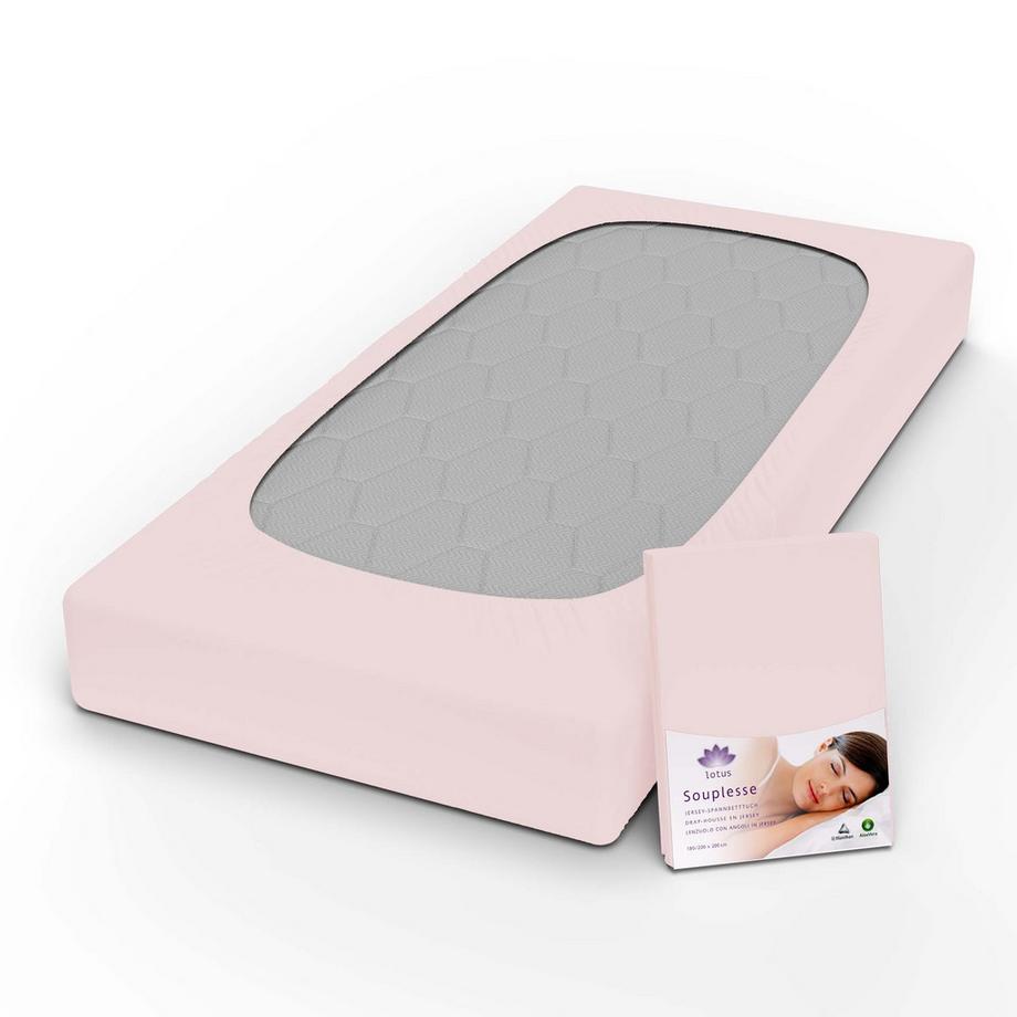 Lotus Bettwaren Souplesse Jersey Fixleintuch  