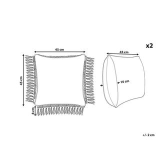 Beliani Lot de 2 coussins décoratifs en Coton Traditionnel PALLIDA  