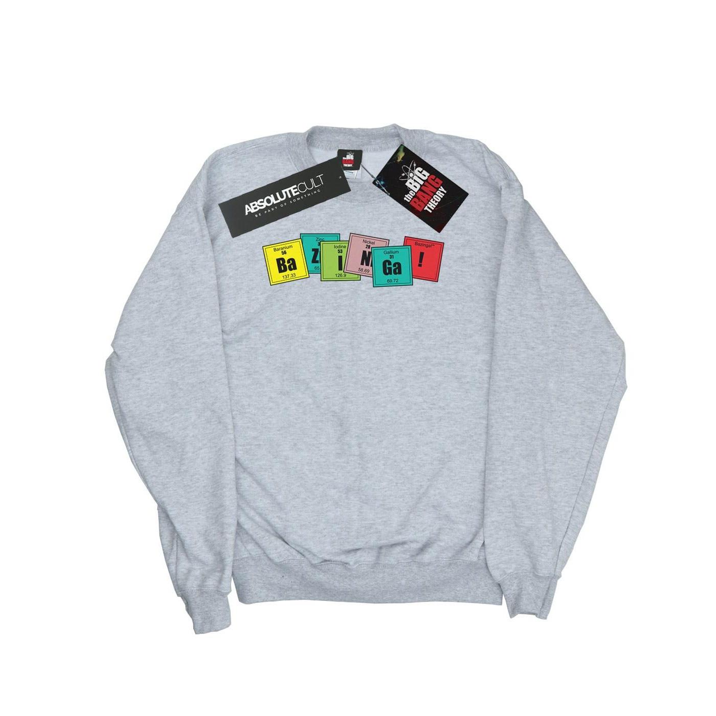 Image of Bazinga Elements Sweatshirt Herren Grau L