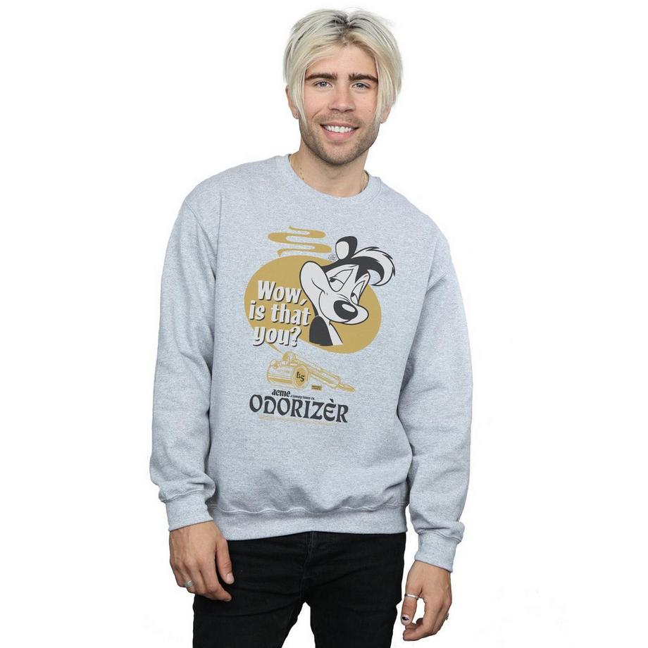 LOONEY TUNES Odorizer Sweatshirt Pepe Le Pew Stampa Grafica  