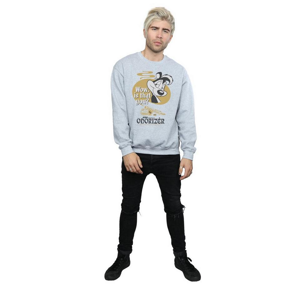 LOONEY TUNES Odorizer Sweatshirt Pepe Le Pew Stampa Grafica  