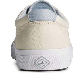 Sperry  Sneaker Striper II CVO SeaCycled, Leder 