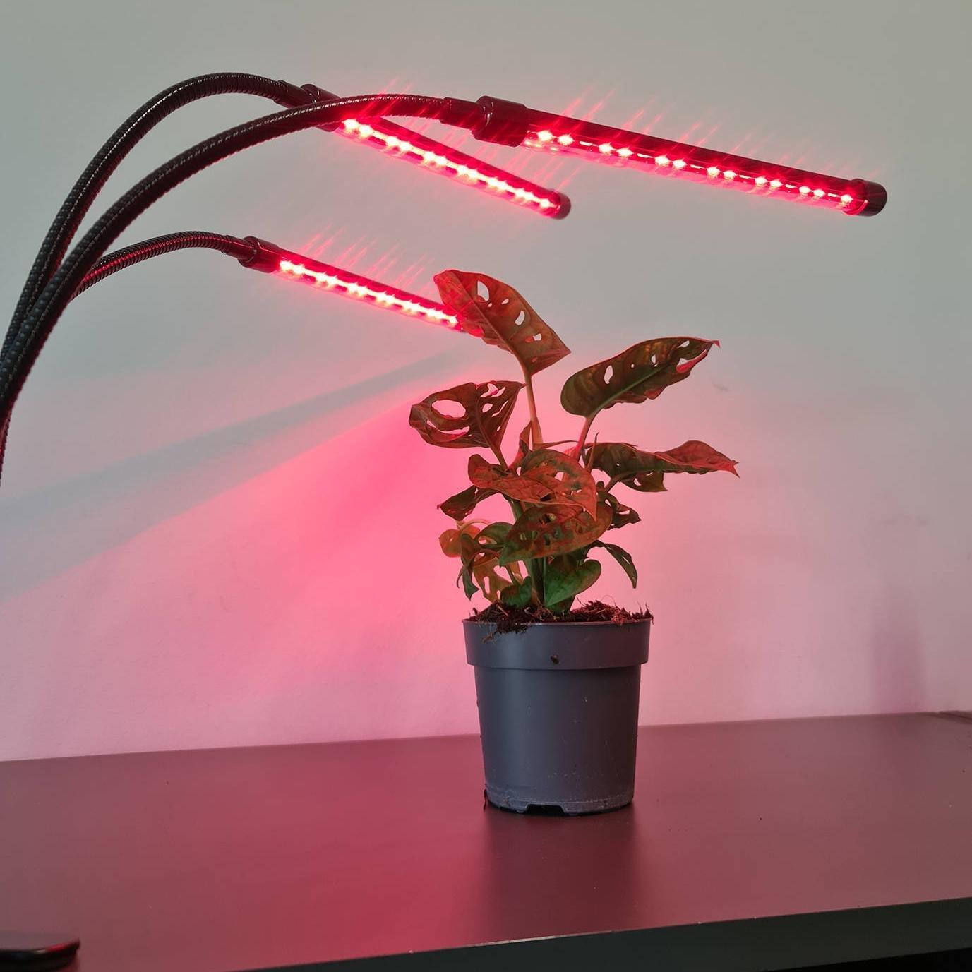 eStore 2 wasserdichte Lampen für den Heimanbau  