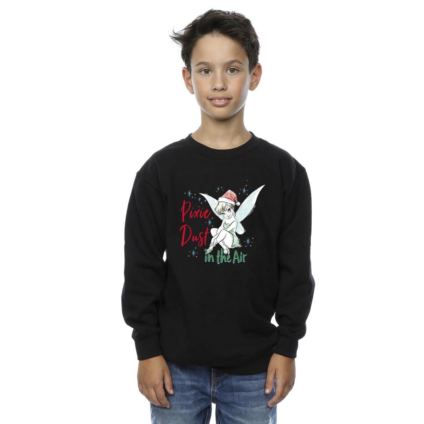 Disney  Pixie Dust Sweatshirt 