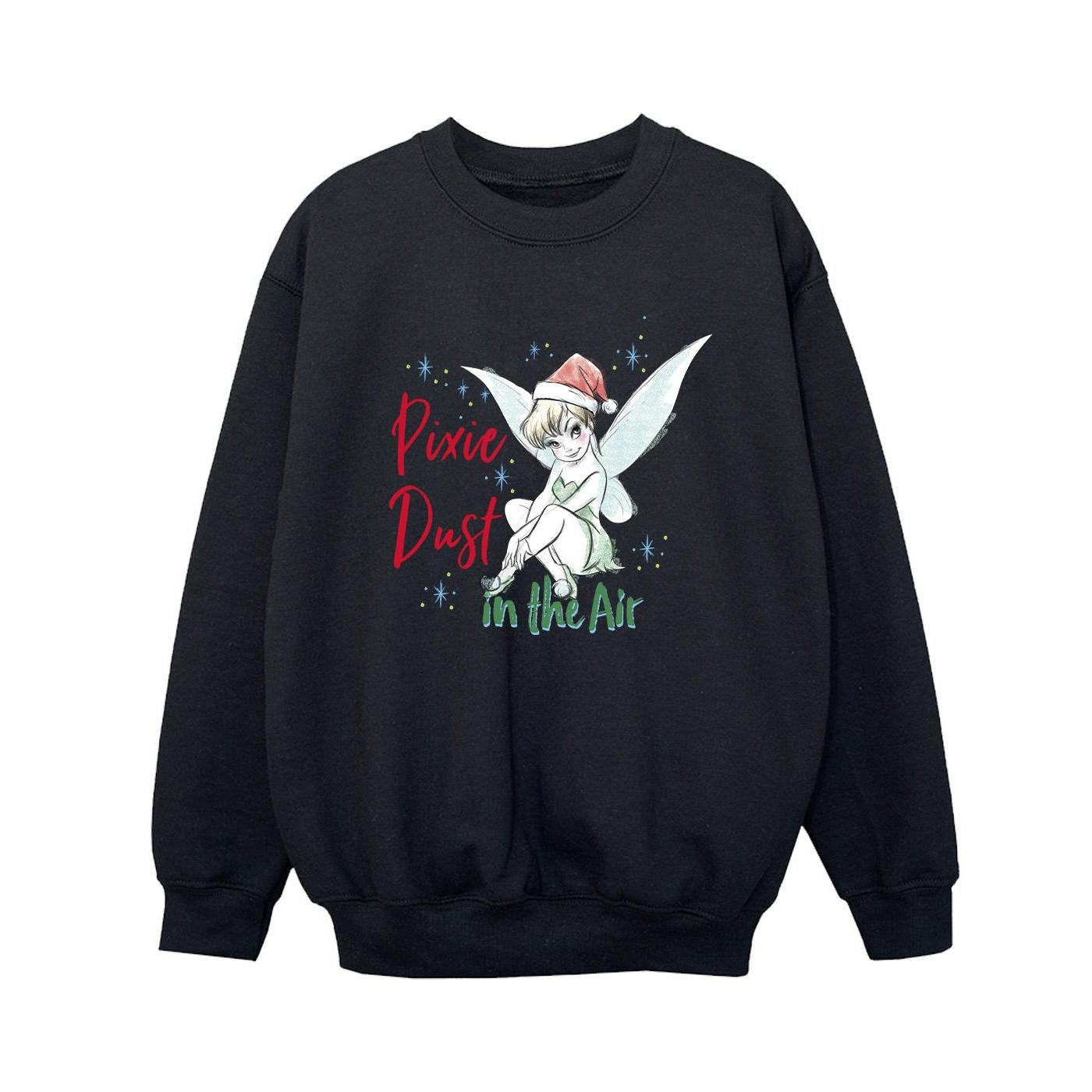 Disney  Pixie Dust Sweatshirt 