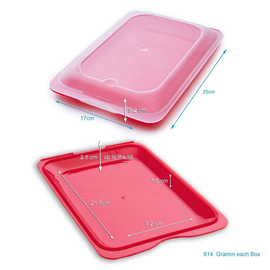 Intirilife Contenitori Per Gastronomia/Scatole Portaoggetti (Set Da 4)  