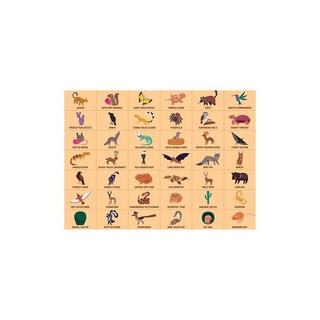 mudpuppy  Search & Find Puzzle, désert, Mudpuppy 