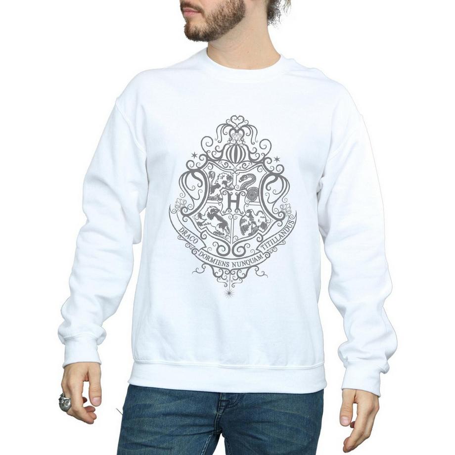 HARRY-POTTER Hogwarts Draco Dormiens Sweatshirt  